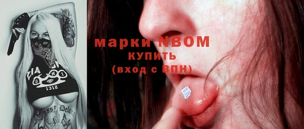 мдпв Бронницы