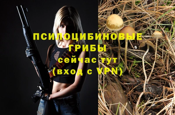 мдпв Бронницы