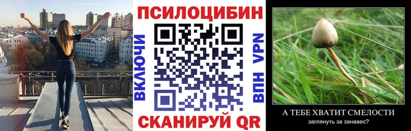 Псилоцибиновые грибы GOLDEN TEACHER OMG ССЫЛКА Прокопьевск